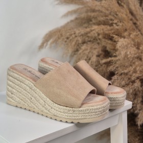 Plataforma Aimar Camel